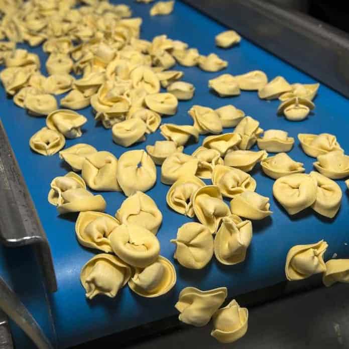 pvc fodevarebaand_2-kopi 2